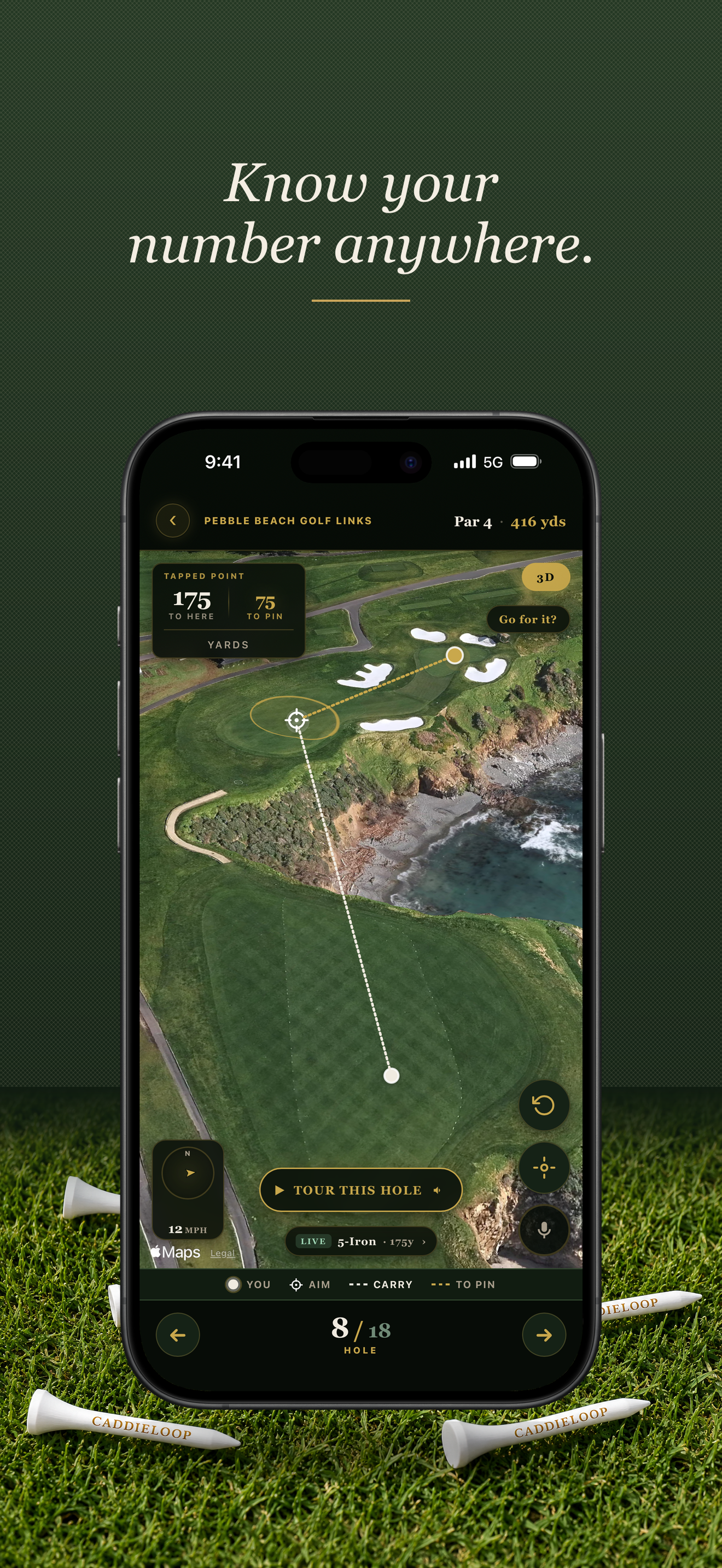 CaddieLoop 3D aerial hole map with live yardages and aim point